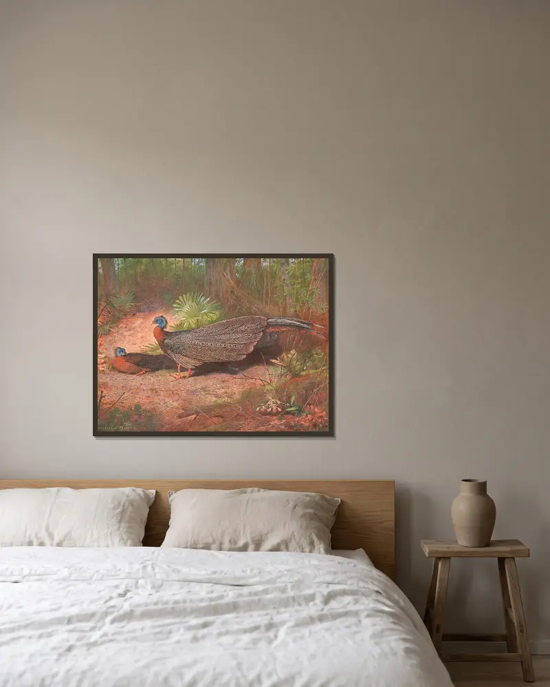Borneo-Argusfasan von Archibald Thorburn gerahmt an einer Wand