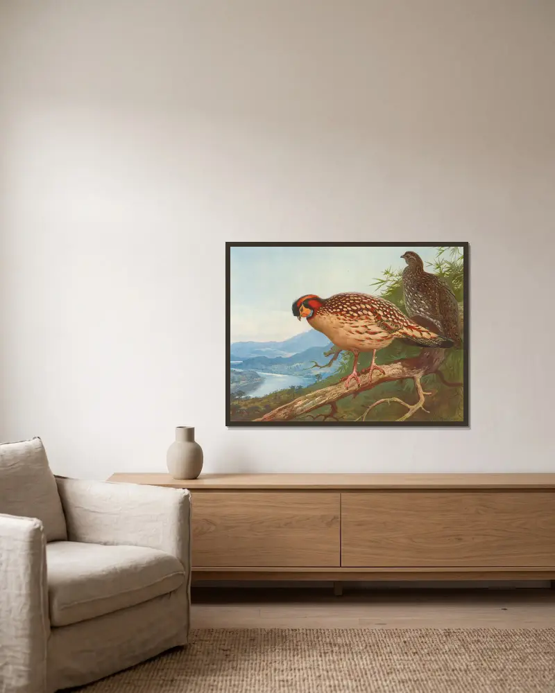 Cabots Tragopan von Archibald Thorburn gerahmt an einer Wand