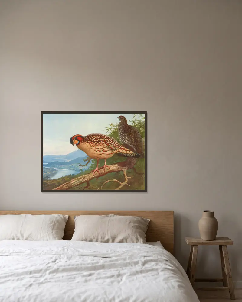 Cabots Tragopan von Archibald Thorburn gerahmt an einer Wand