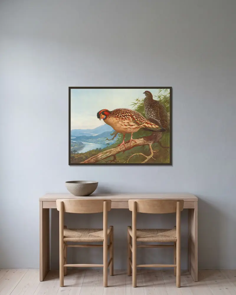 Cabots Tragopan von Archibald Thorburn gerahmt an einer Wand