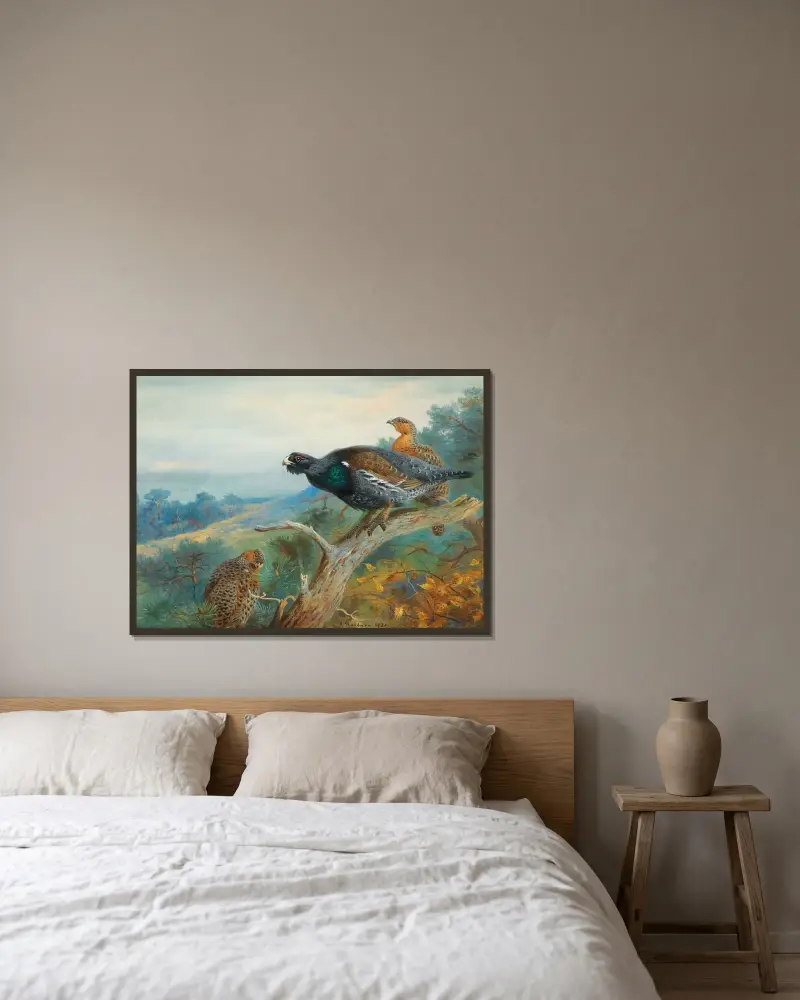 Capercaillie av Archibald Thorburn inramad på en vägg