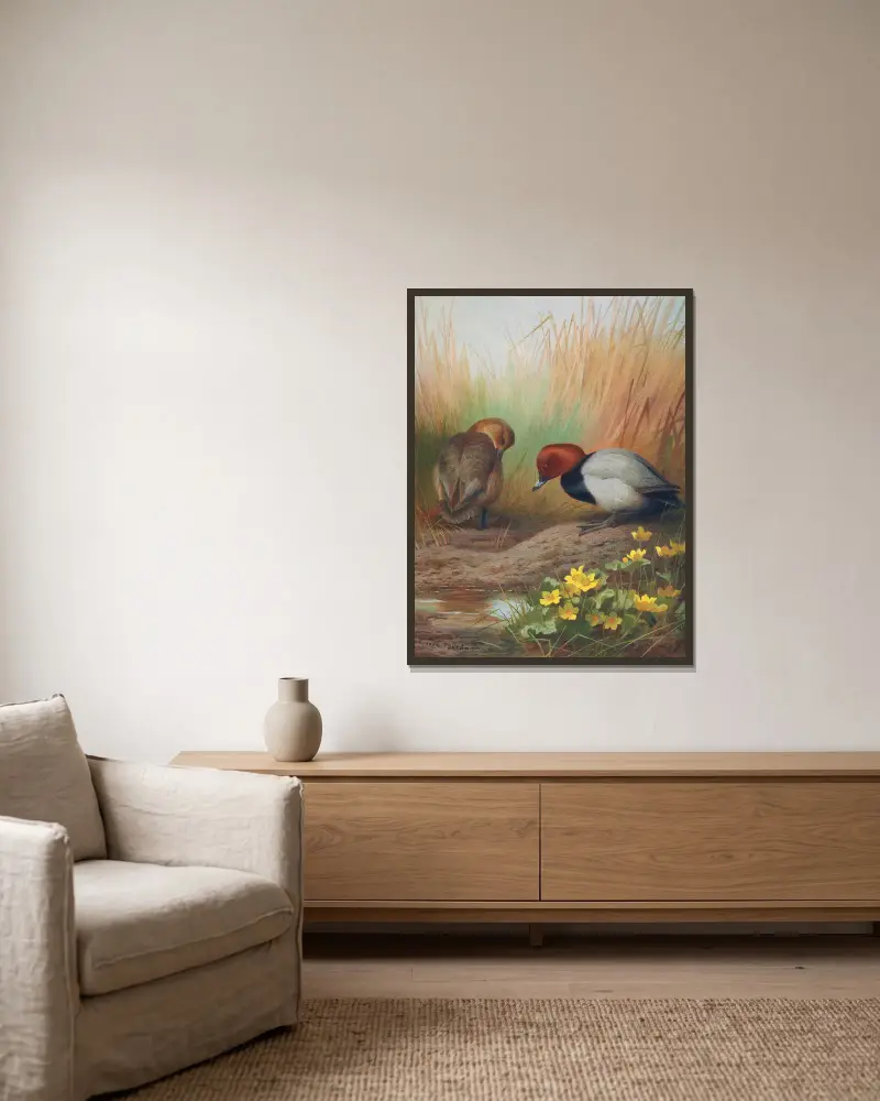 Tafelente von Archibald Thorburn gerahmt an einer Wand