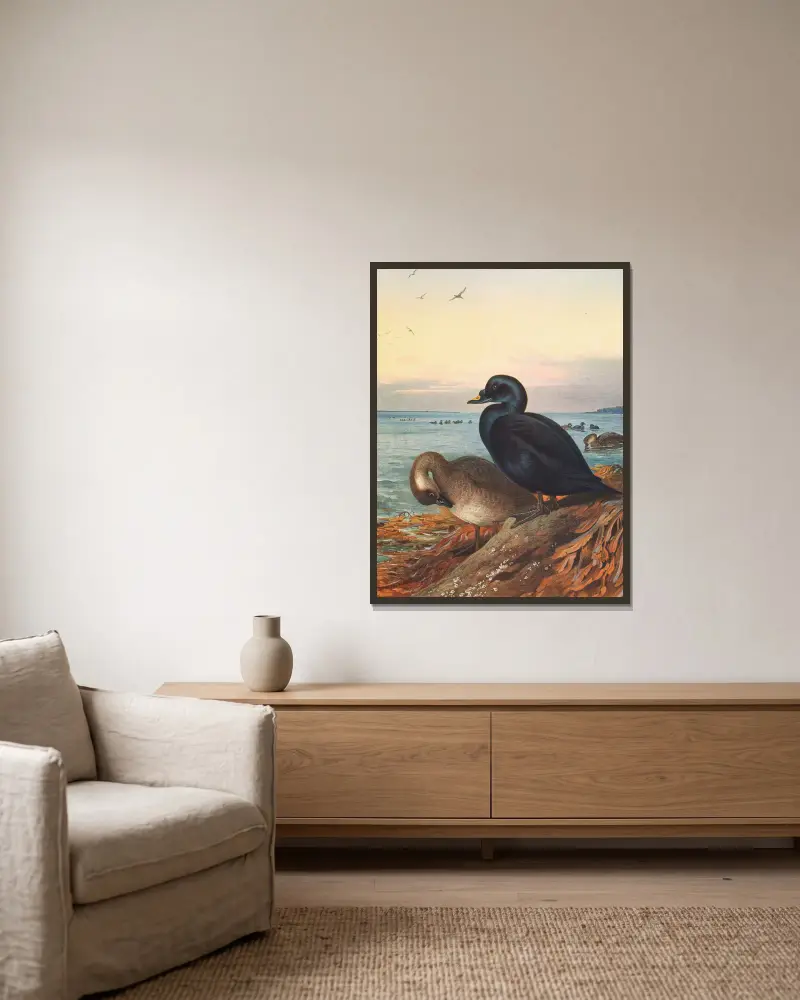 Trauerente von Archibald Thorburn gerahmt an einer Wand