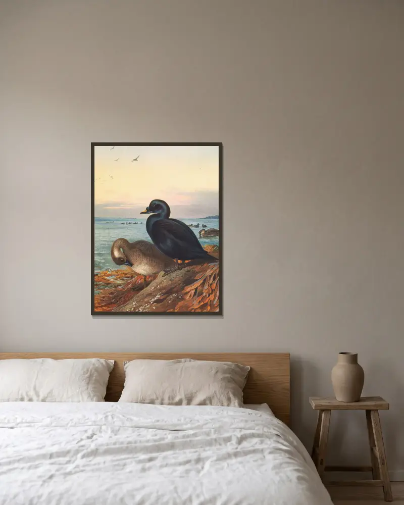 Trauerente von Archibald Thorburn gerahmt an einer Wand
