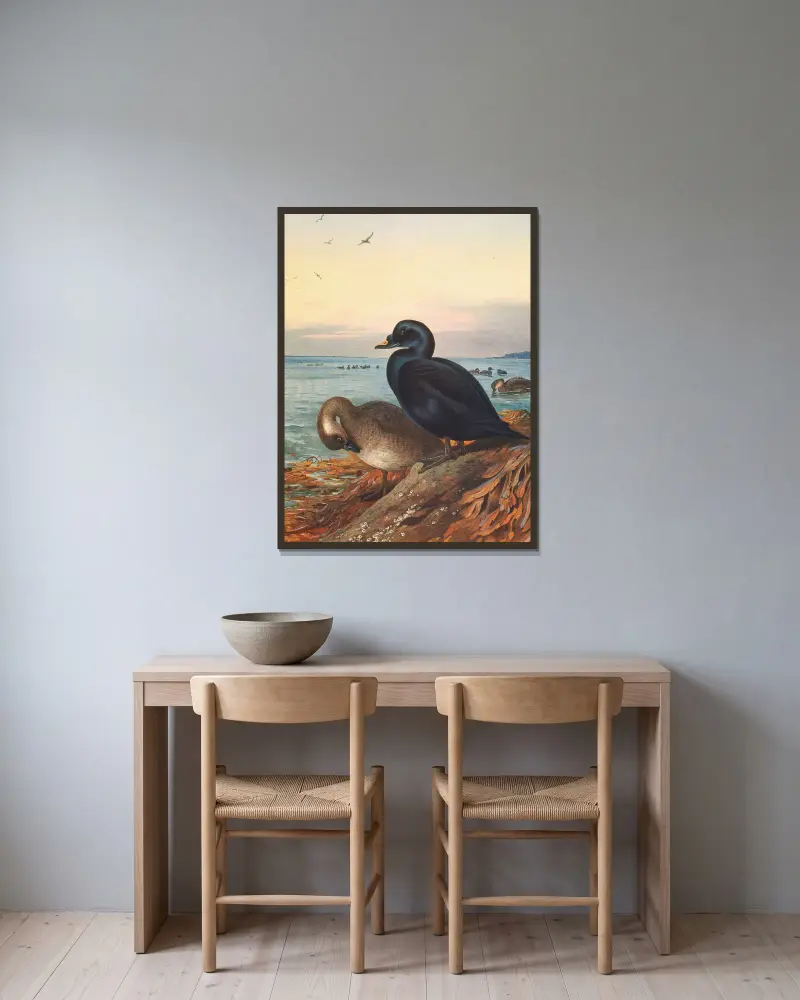 Trauerente von Archibald Thorburn gerahmt an einer Wand