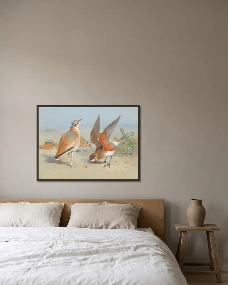 Cream Coloured Courser And Pratincole av Archibald Thorburn inramad på en vägg