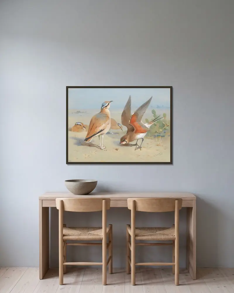 Cream Coloured Courser And Pratincole av Archibald Thorburn inramad på en vägg