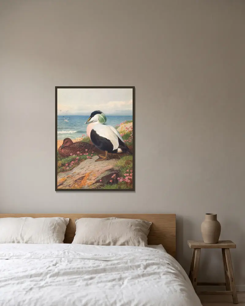 Eiderente von Archibald Thorburn gerahmt an einer Wand