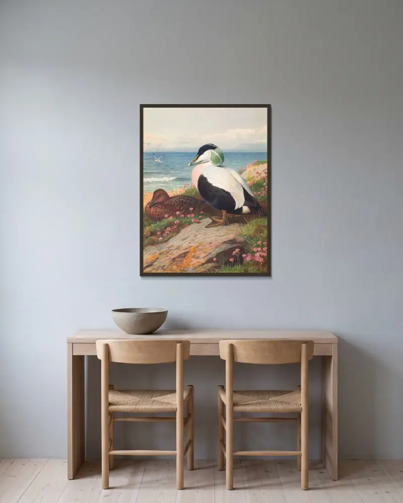 Eiderente von Archibald Thorburn gerahmt an einer Wand