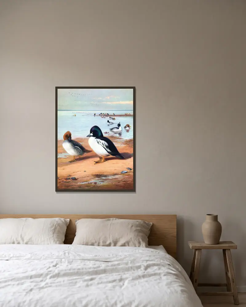 Golden-Eye von Archibald Thorburn gerahmt an einer Wand