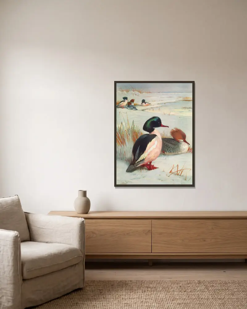 Gänsesäger von Archibald Thorburn gerahmt an einer Wand