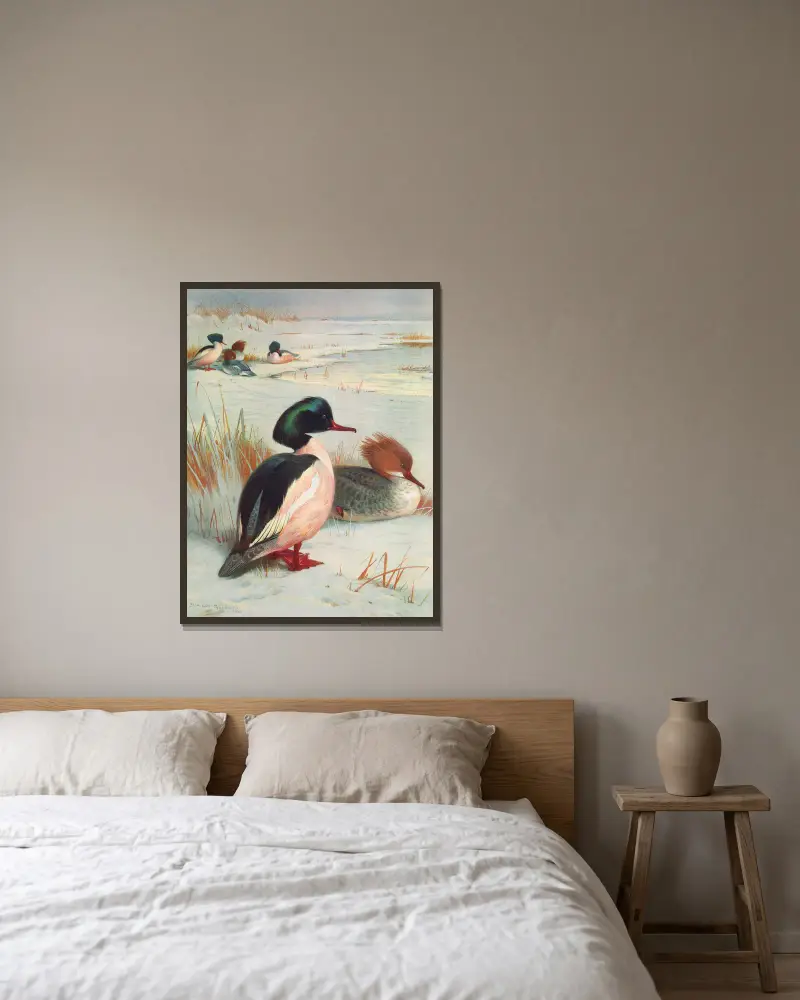 Gänsesäger von Archibald Thorburn gerahmt an einer Wand