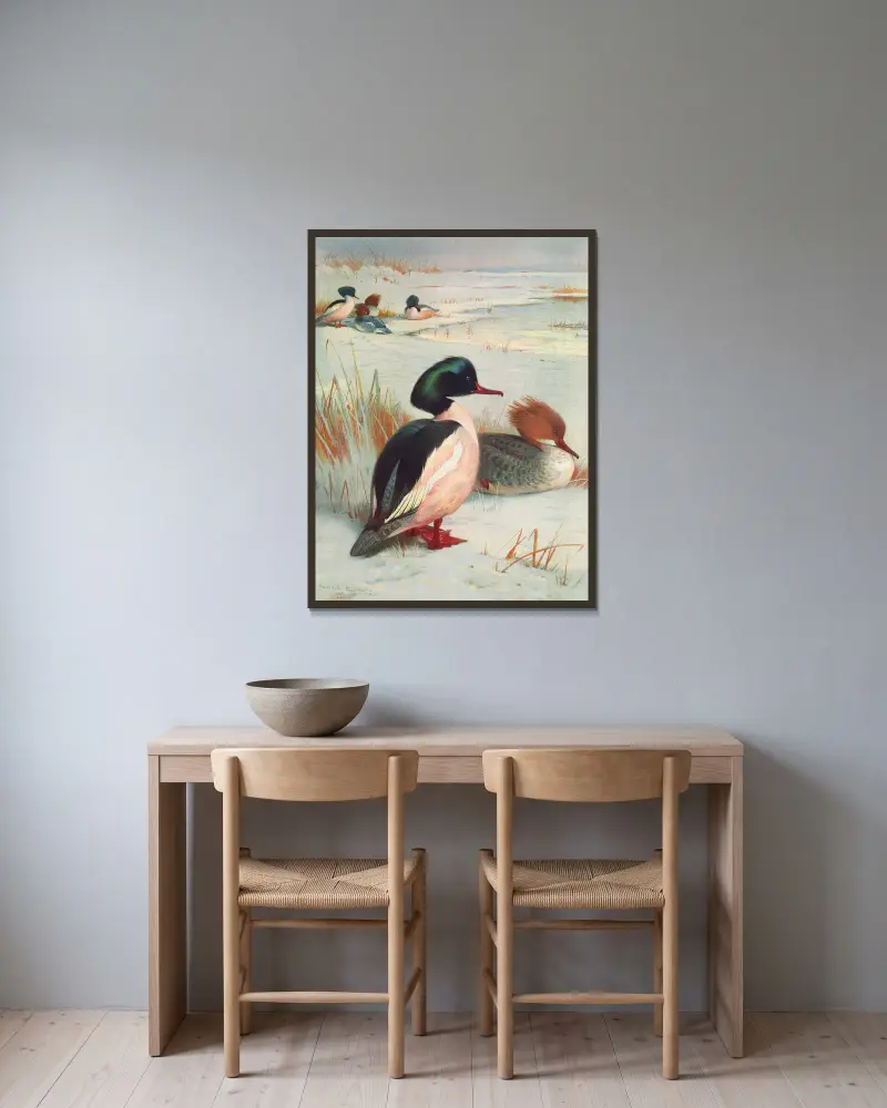 Gänsesäger von Archibald Thorburn gerahmt an einer Wand