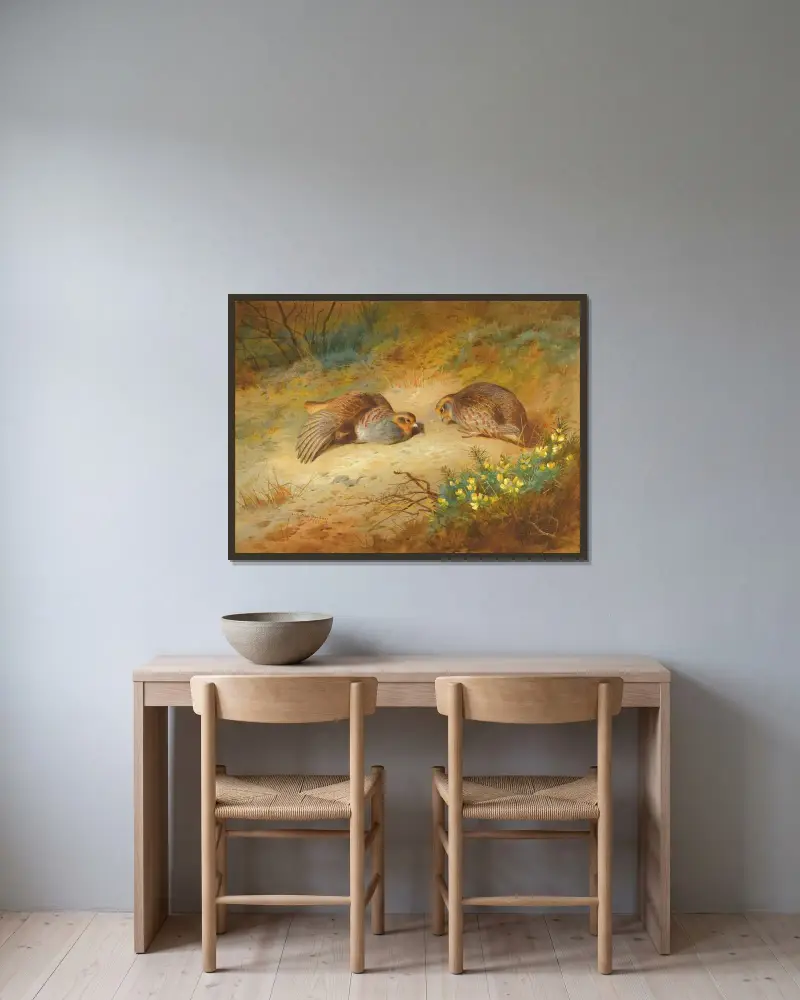 Grå rapphöna av Archibald Thorburn inramad på en vägg