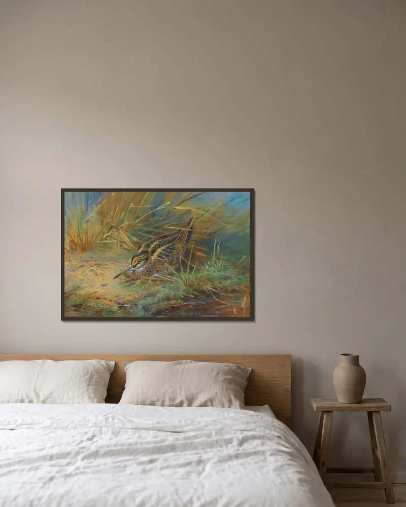 Zwergschnepfe von Archibald Thorburn gerahmt an einer Wand