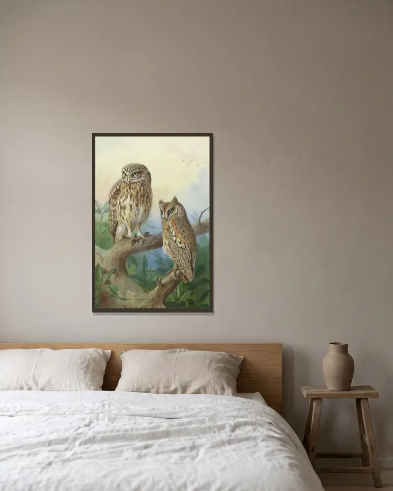 Minervauggla och dvärguv av Archibald Thorburn inramad på en vägg