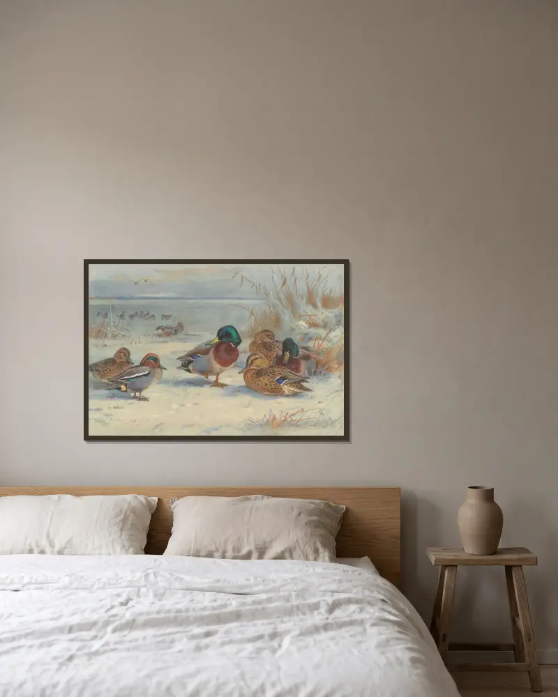 Gräsand och kricka i snö av Archibald Thorburn inramad på en vägg