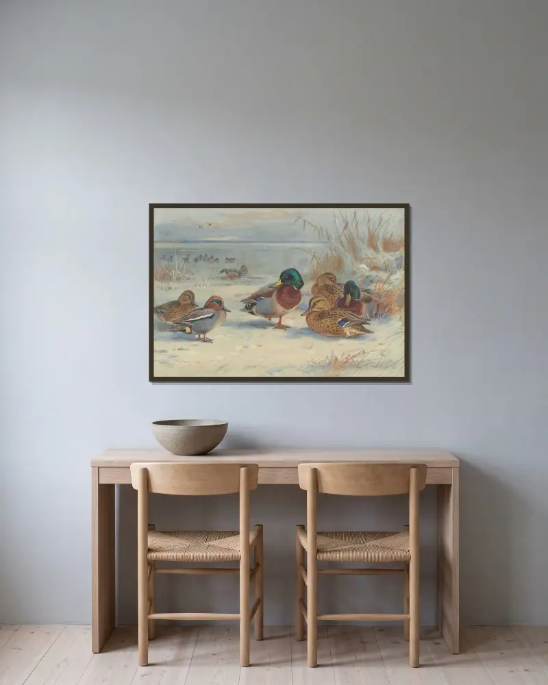 Gräsand och kricka i snö av Archibald Thorburn inramad på en vägg