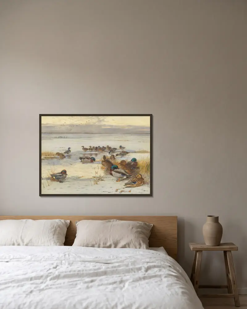 Snatteränder och krickor på en snötäckt marsk av Archibald Thorburn inramad på en vägg