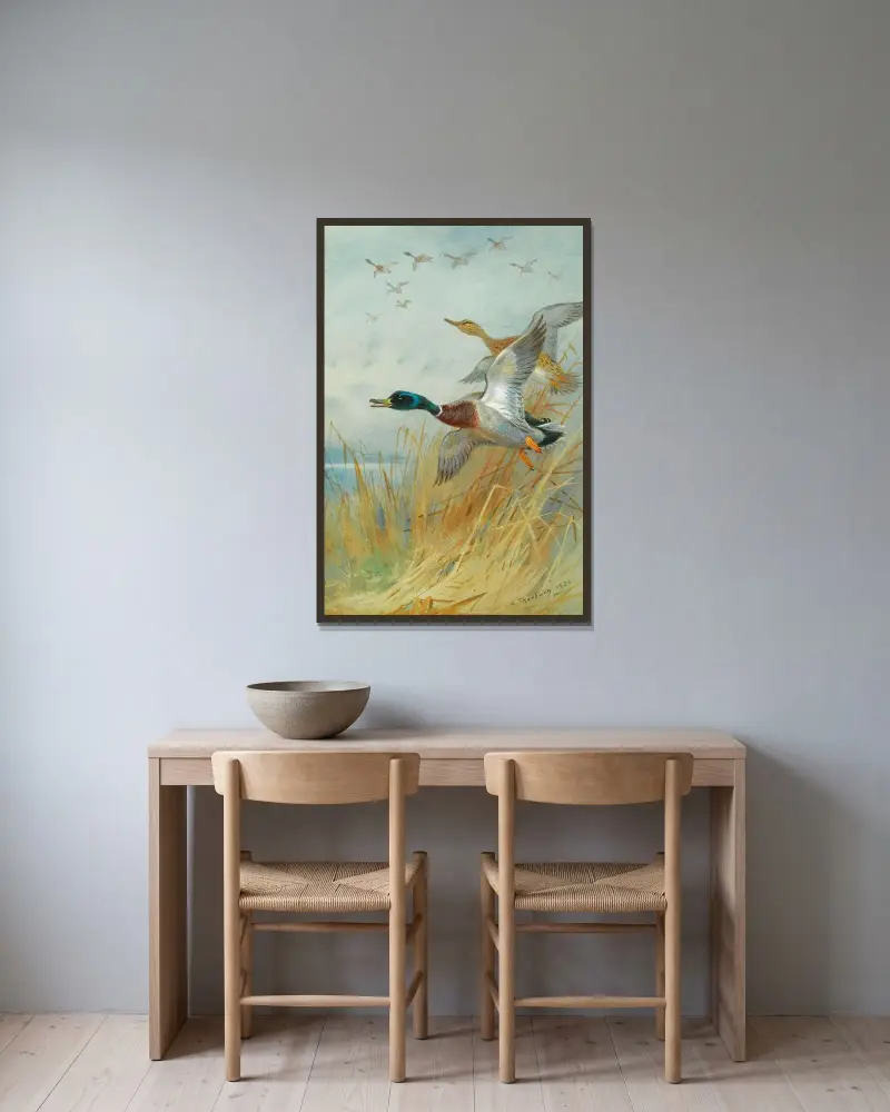 Mallard Rising av Archibald Thorburn inramad på en vägg