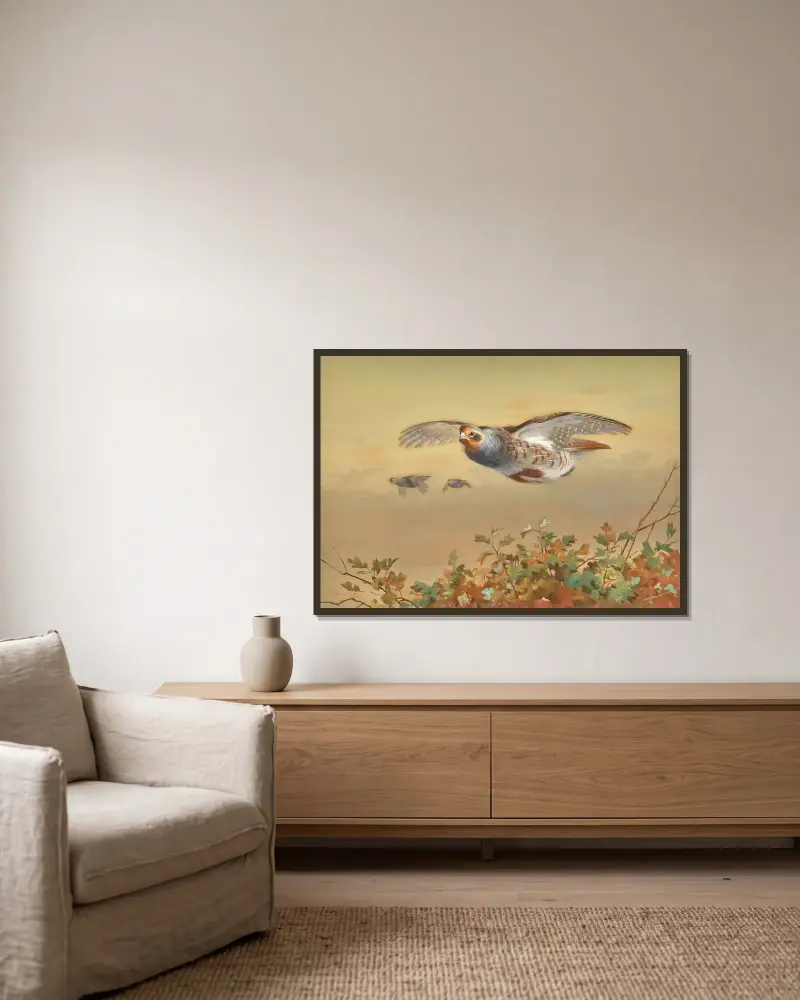 Partridge In Flight av Archibald Thorburn inramad på en vägg
