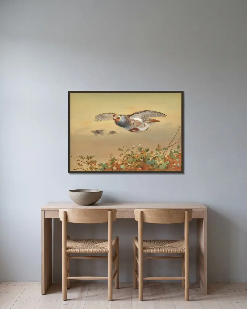 Partridge In Flight av Archibald Thorburn inramad på en vägg