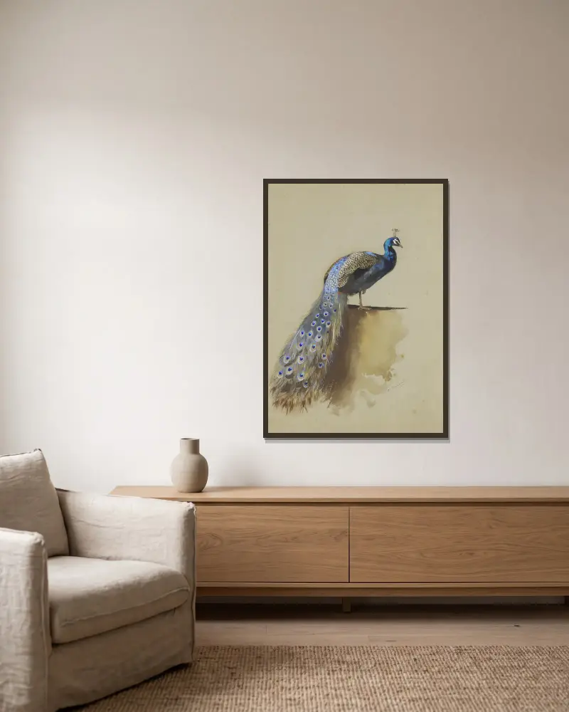 Pfau von Archibald Thorburn gerahmt an einer Wand