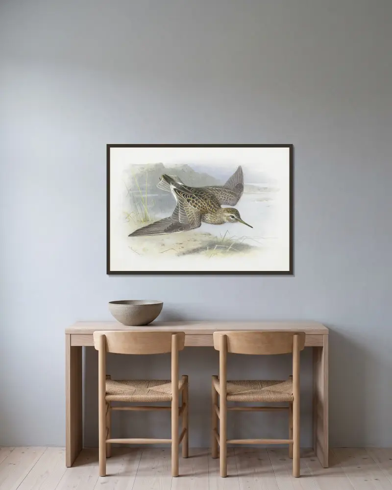 Pectoral Sandpiper von Archibald Thorburn gerahmt an einer Wand