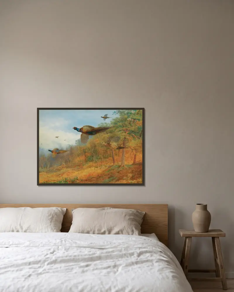 Fasaner bryter upp ur skydd av Archibald Thorburn inramad på en vägg