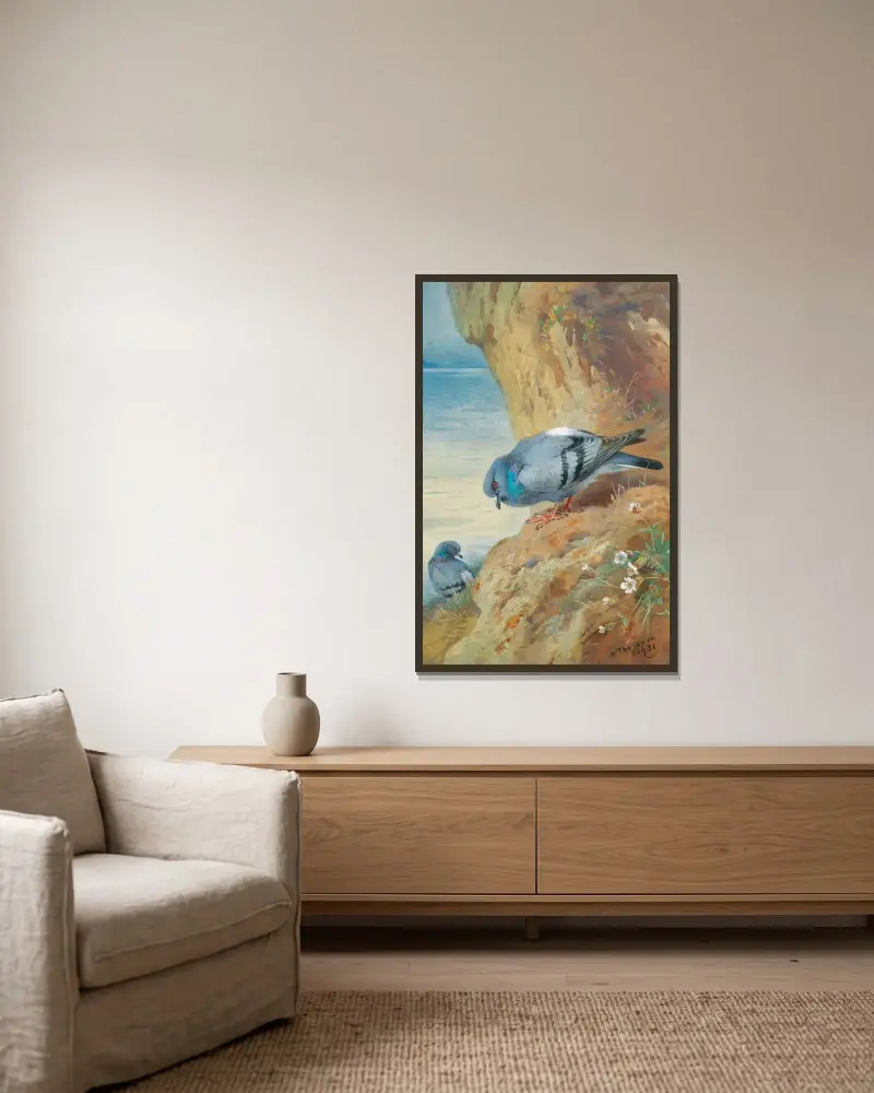 Felsentauben von Archibald Thorburn gerahmt an einer Wand