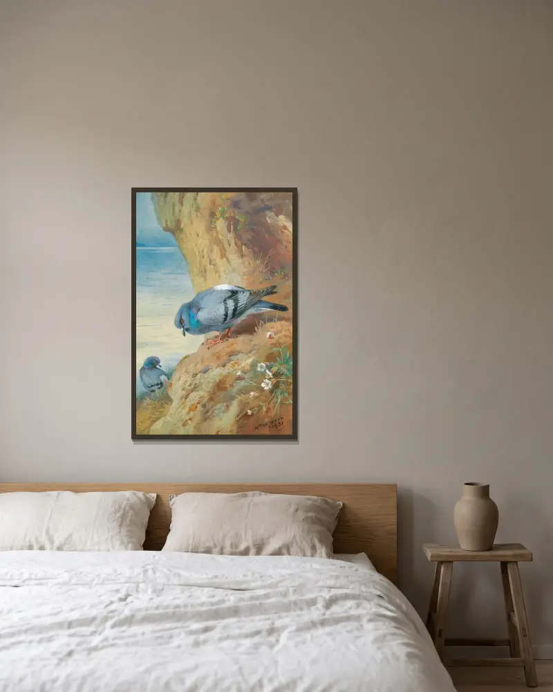 Felsentauben von Archibald Thorburn gerahmt an einer Wand