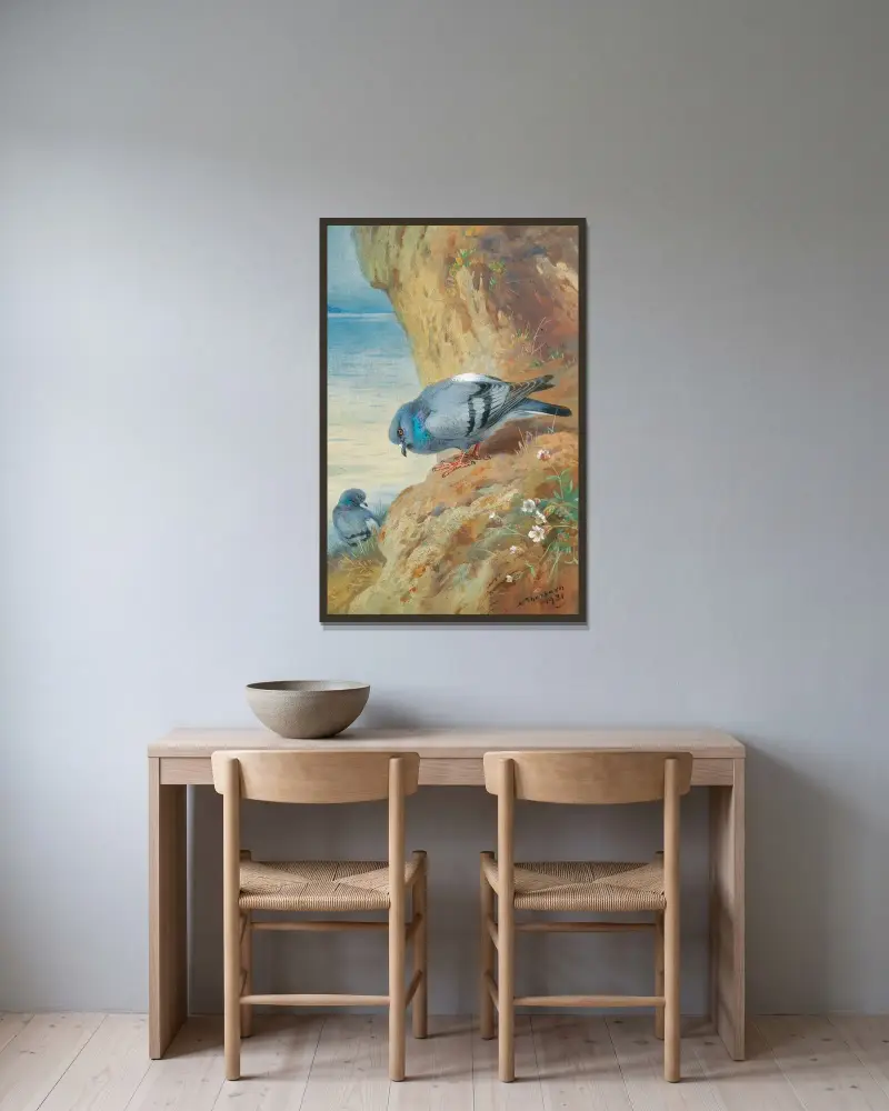 Felsentauben von Archibald Thorburn gerahmt an einer Wand
