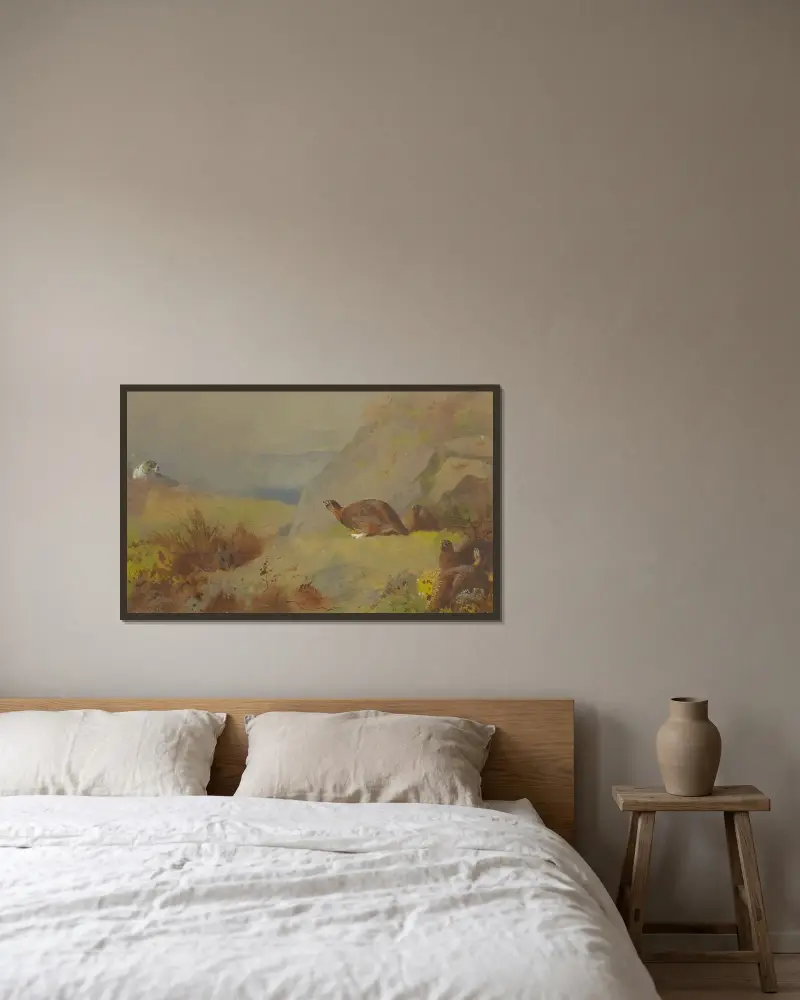 Studie av orre på heden av Archibald Thorburn inramad på en vägg