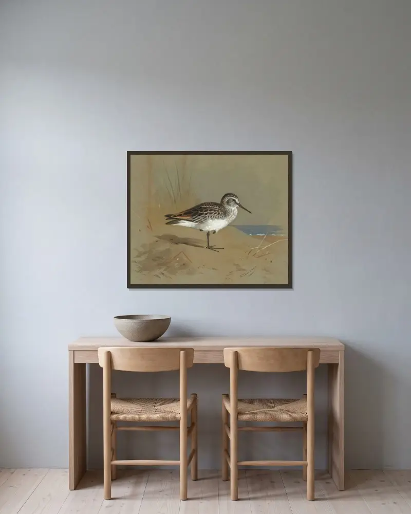Studie av en snäppa av Archibald Thorburn inramad på en vägg