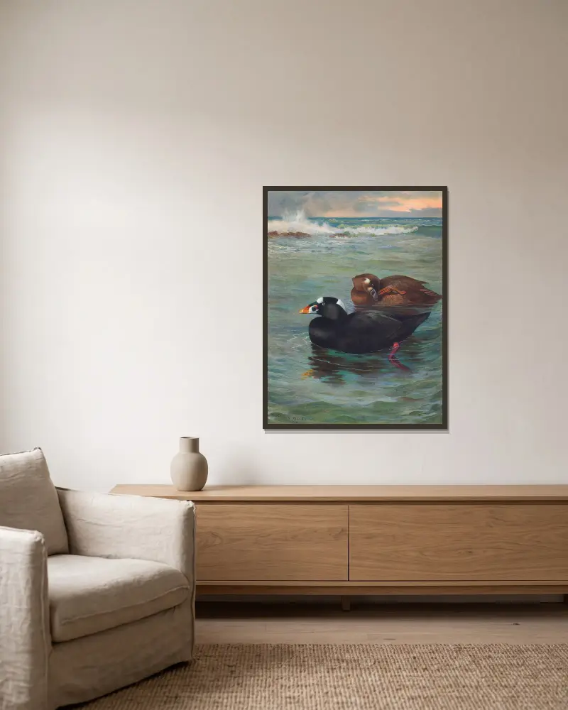 Surf-Scoter, Archibald Thorburn w ramie na ścianie
