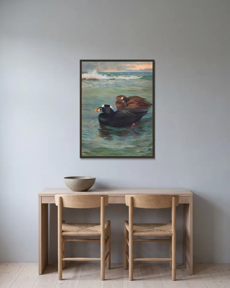 Surf-Scoter, Archibald Thorburn w ramie na ścianie
