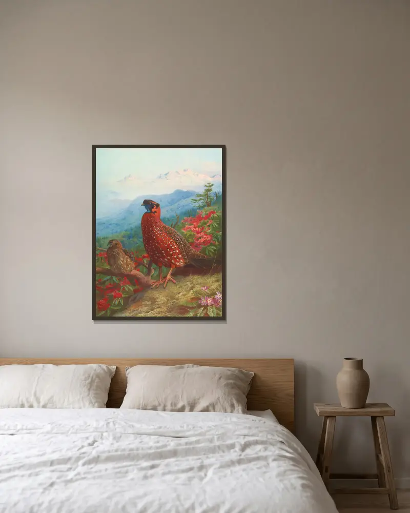 The Satyr Tragopan av Archibald Thorburn inramad på en vägg