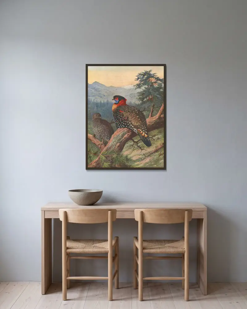 Tragopan zachodni, Archibald Thorburn w ramie na ścianie