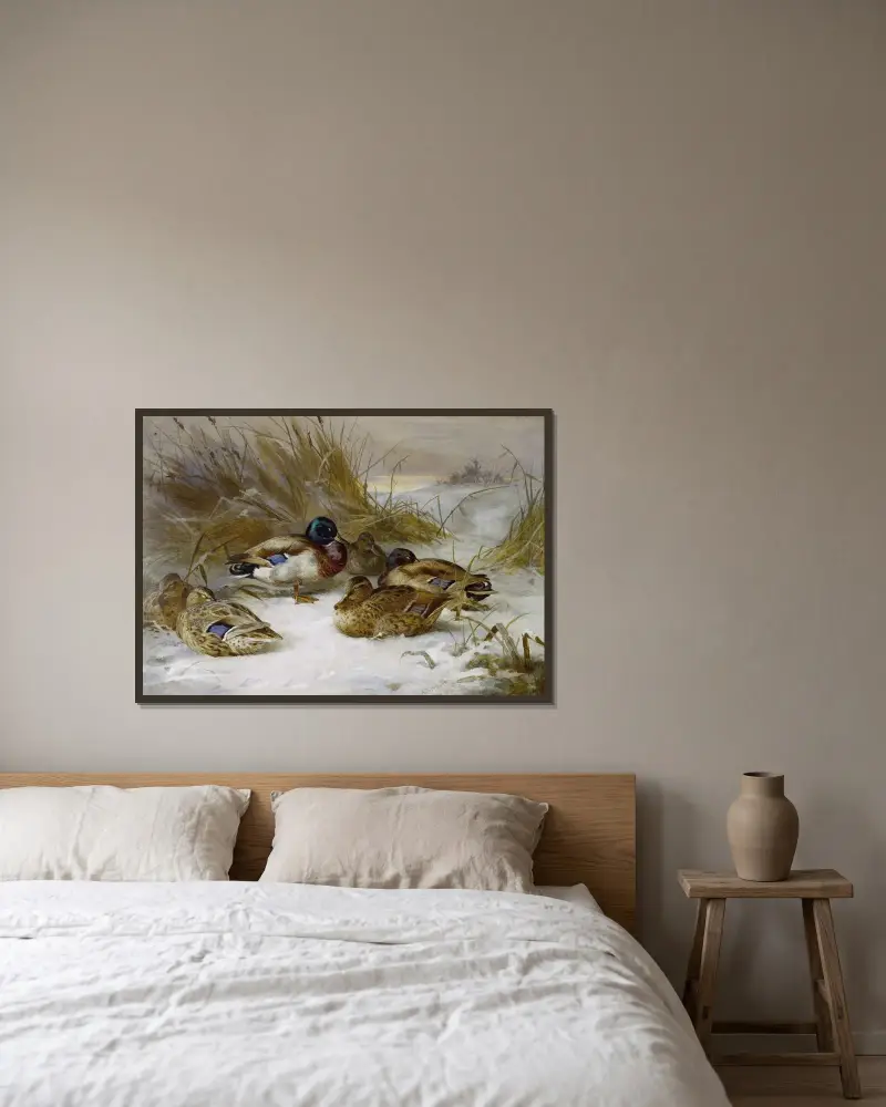 Vinterlandskap med gräsand av Archibald Thorburn inramad på en vägg