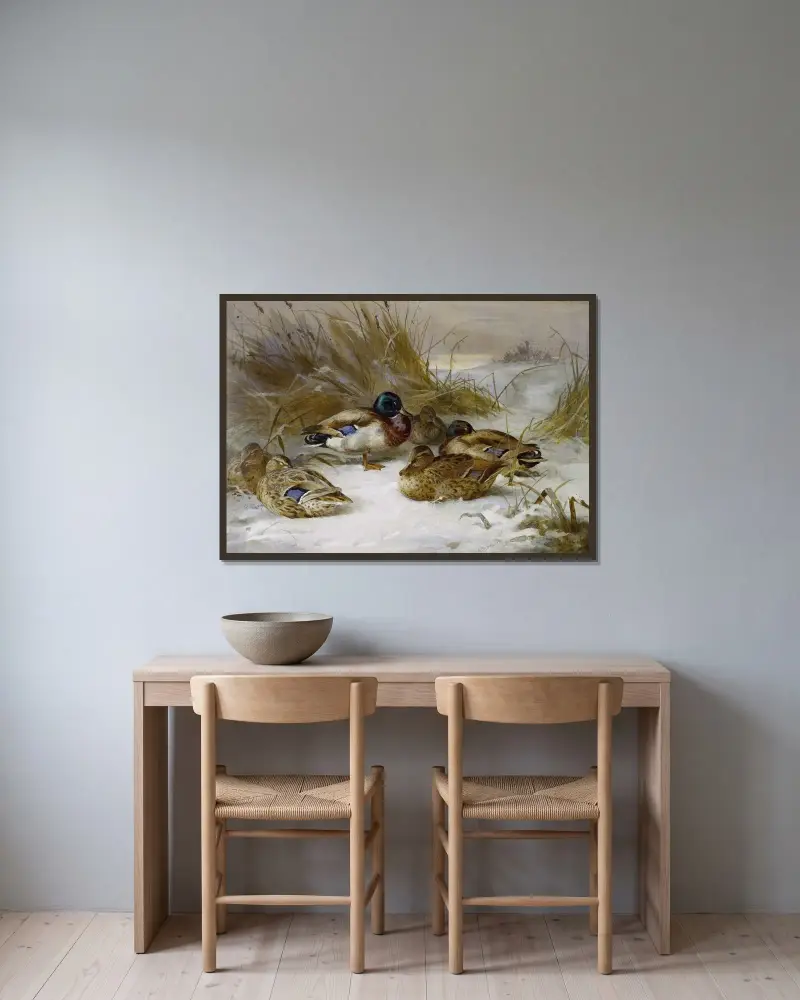 Vinterlandskap med gräsand av Archibald Thorburn inramad på en vägg