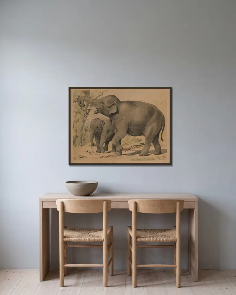 Elefant, Oluf August Hermansen v rámu na stěně