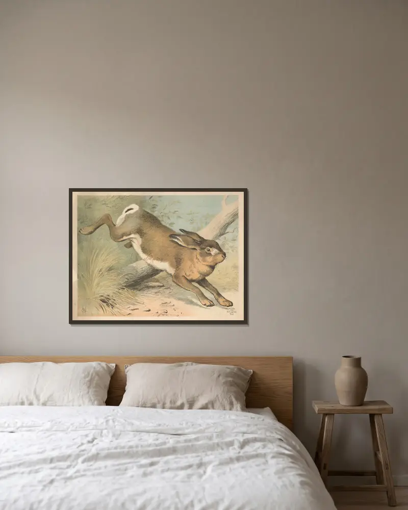 Zajíc (varianta), Oluf August Hermansen v rámu na stěně