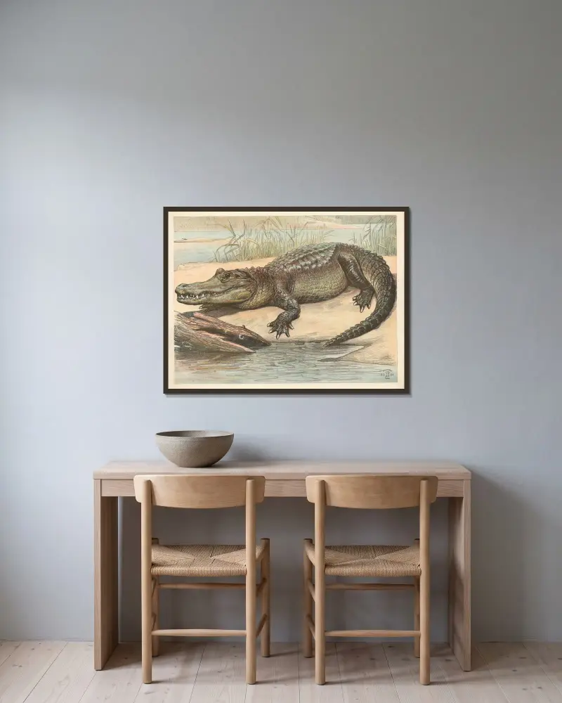 Krokodýl, Oluf August Hermansen v rámu na stěně