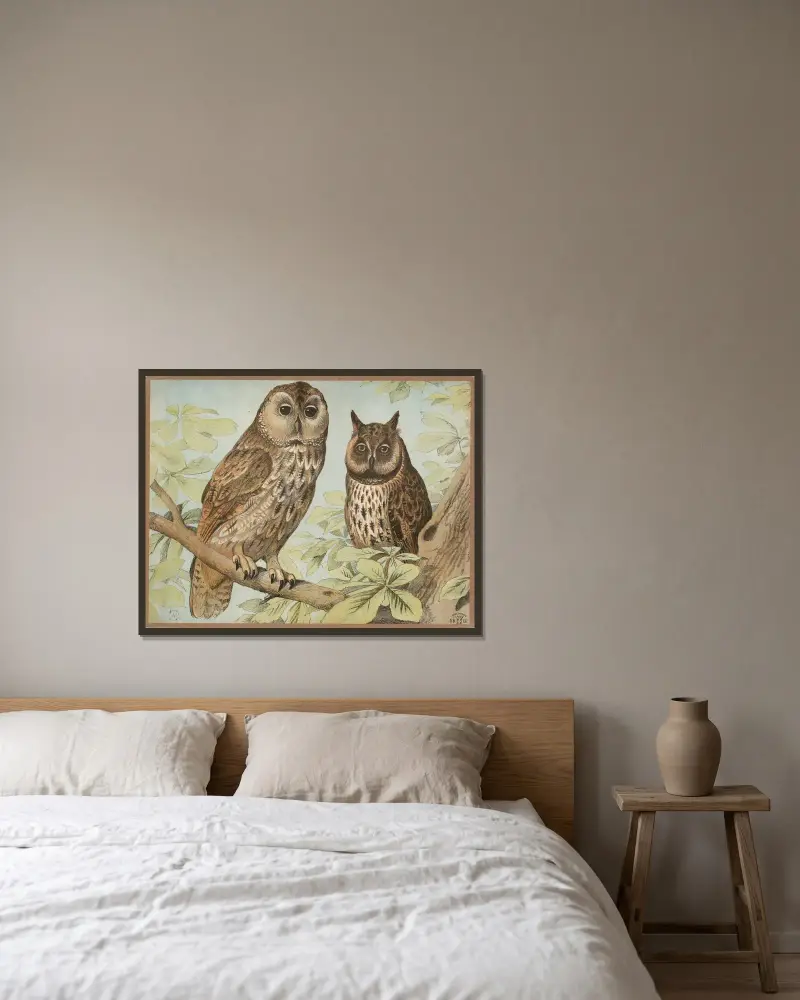 Sova pálená, výr velký, Oluf August Hermansen v rámu na stěně