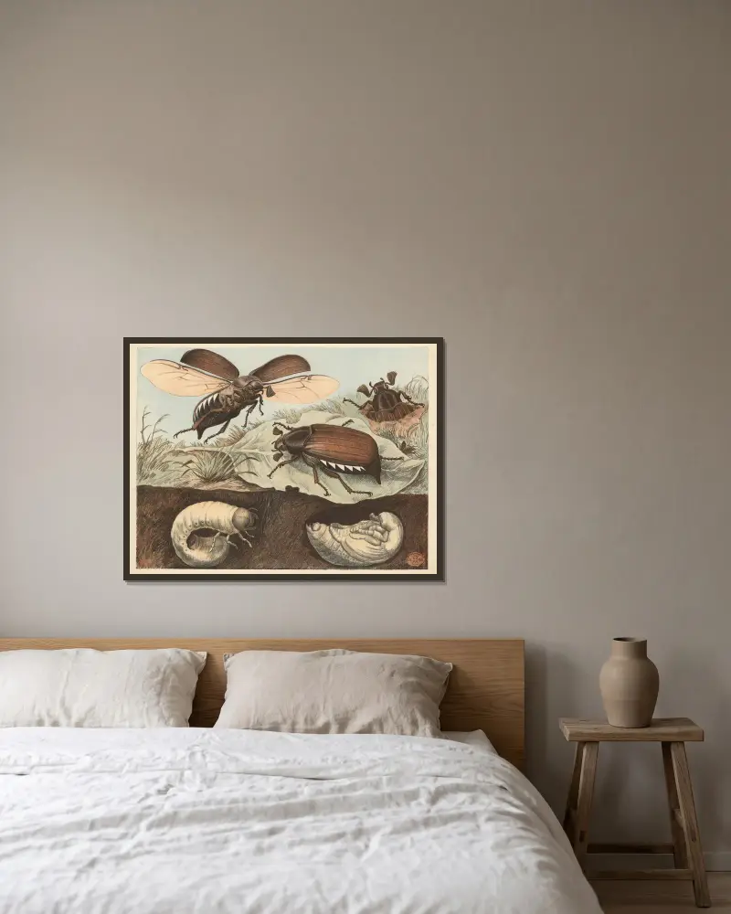 Maikäfer von Oluf August Hermansen gerahmt an einer Wand
