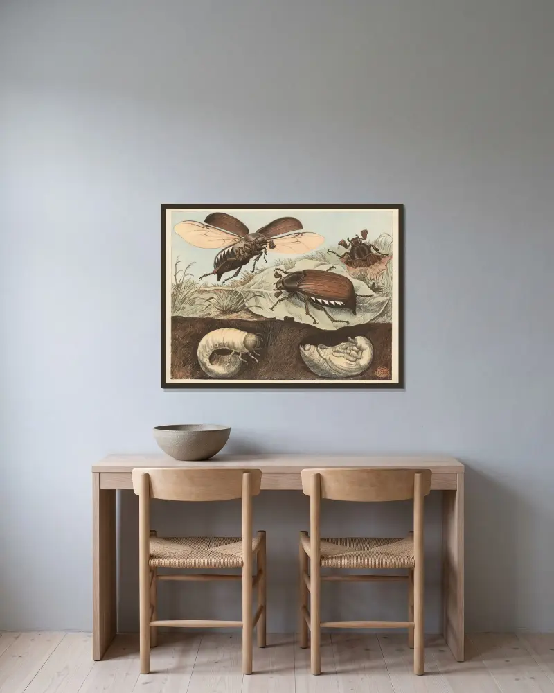 Maikäfer von Oluf August Hermansen gerahmt an einer Wand