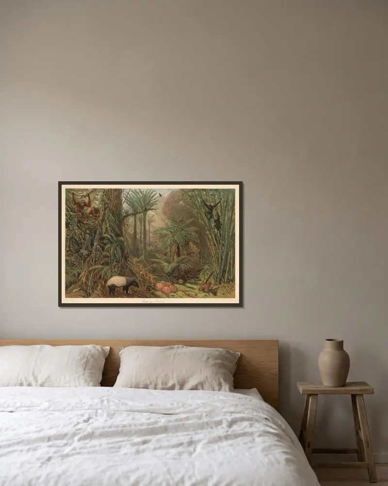 Prales na Sumatře, August Specht v rámu na stěně