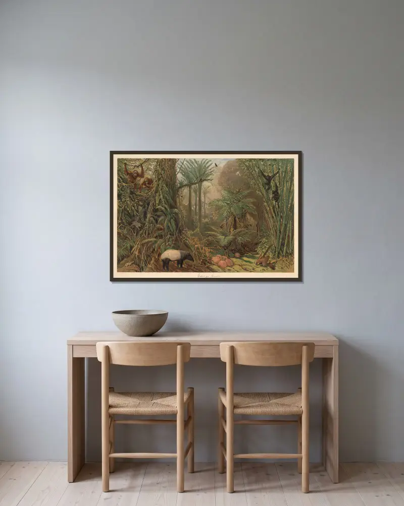 Prales na Sumatře, August Specht v rámu na stěně