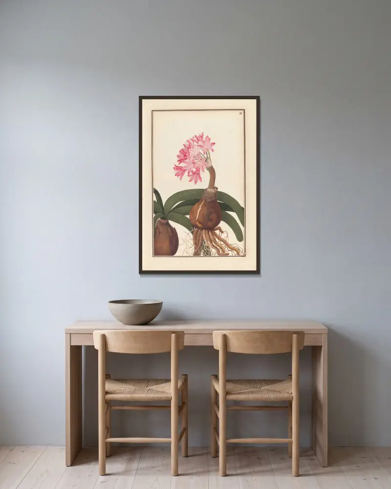 Stirpium imagines LXXV Pl.02 av Baldassare Cattrani inramad på en vägg