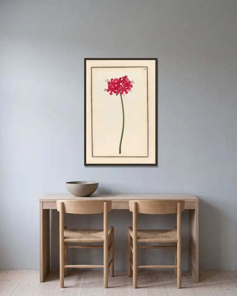 Stirpium imagines LXXV Pl.03 av Baldassare Cattrani inramad på en vägg